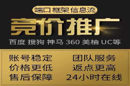 SEM专员实战案例解析